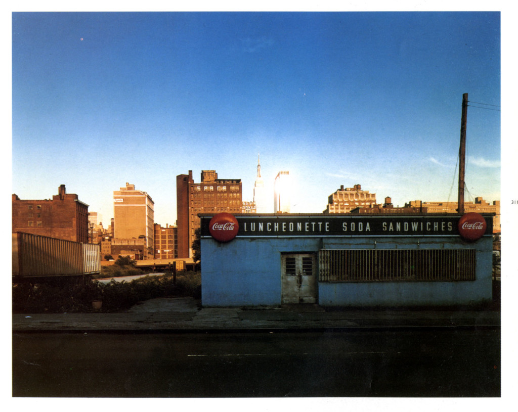 joel-meyerowitz-new-york