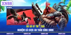 Đá Gà Uy Tín - Trải Nghiệm Cá Cược An Toàn Cùng XN88